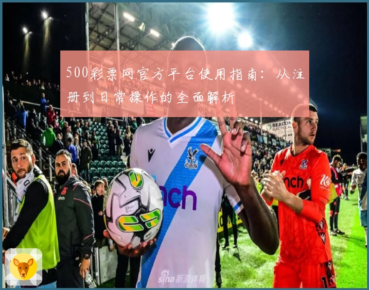 500彩票网官方平台使用指南：从注册到日常操作的全面解析